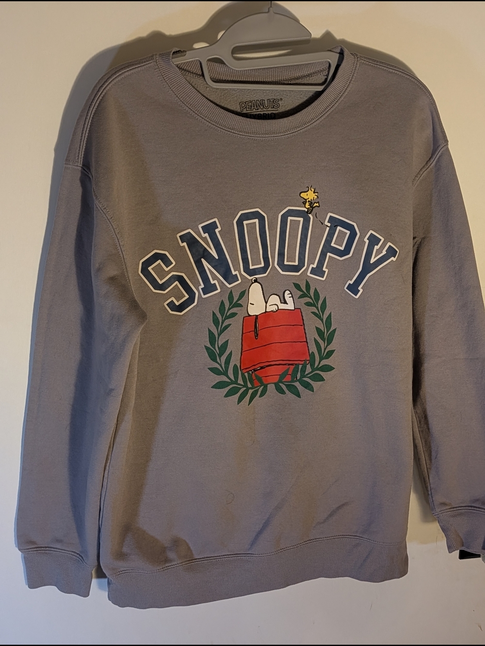 Peanuts Snoopy Graphic Crewneck Sweater - Gray